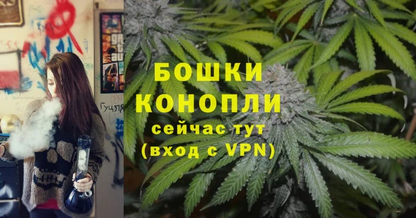 гидра Липки