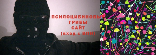 гидра Липки