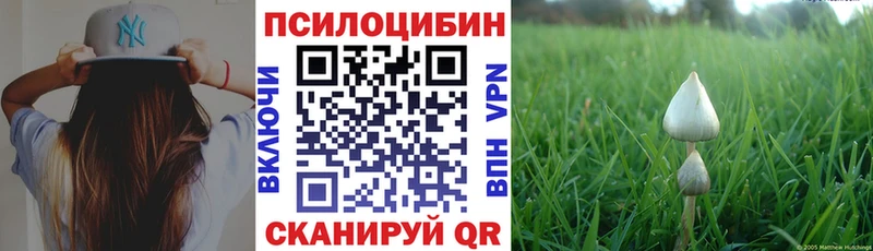 Псилоцибиновые грибы Psilocybine cubensis  ОМГ ОМГ ONION  Почеп 